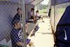 CASlowPitch > Dugout